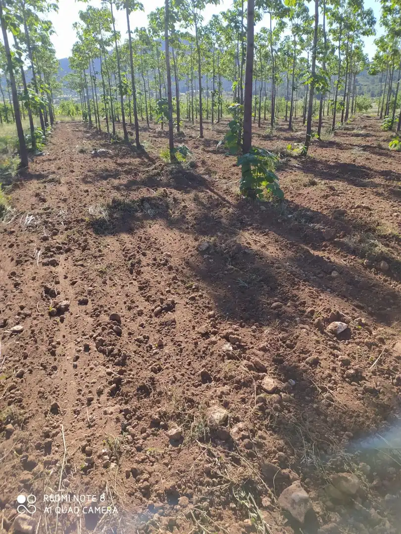 Finca rústica en venda en Yecla