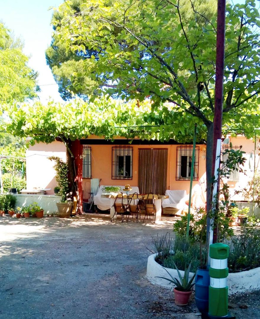 Jardí de Casa o xalet en venda en  Albacete Capital amb Jardí privat, Traster i Piscina