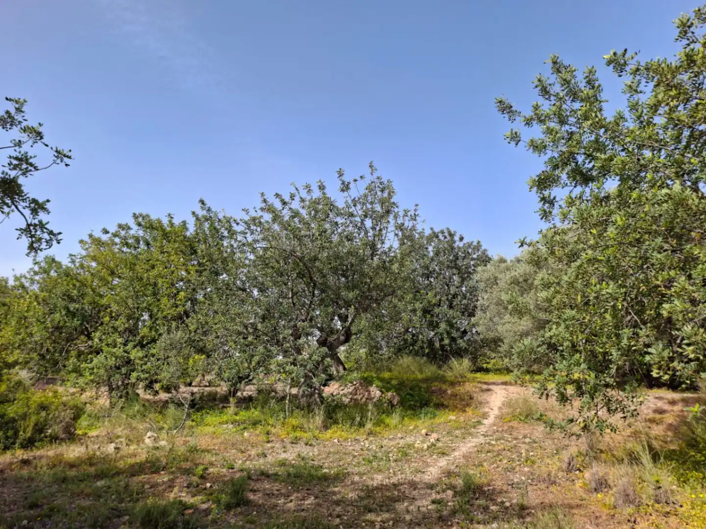 Wohnbaugrundstück zum Verkauf in Altea ciudad, imagen 6