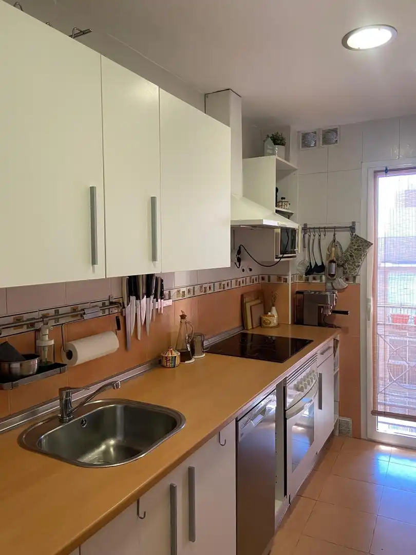 Kitchen of Attic for sale in Málaga  with Air Conditioner, Terrace and Furnished