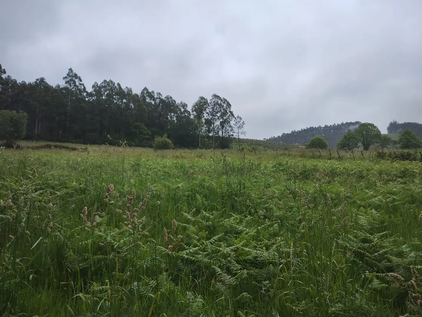 Terrenys i solars en venda a Moeche, imagen 3