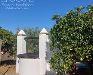 Vista exterior de Finca rústica en venda en Almonte amb Terrassa