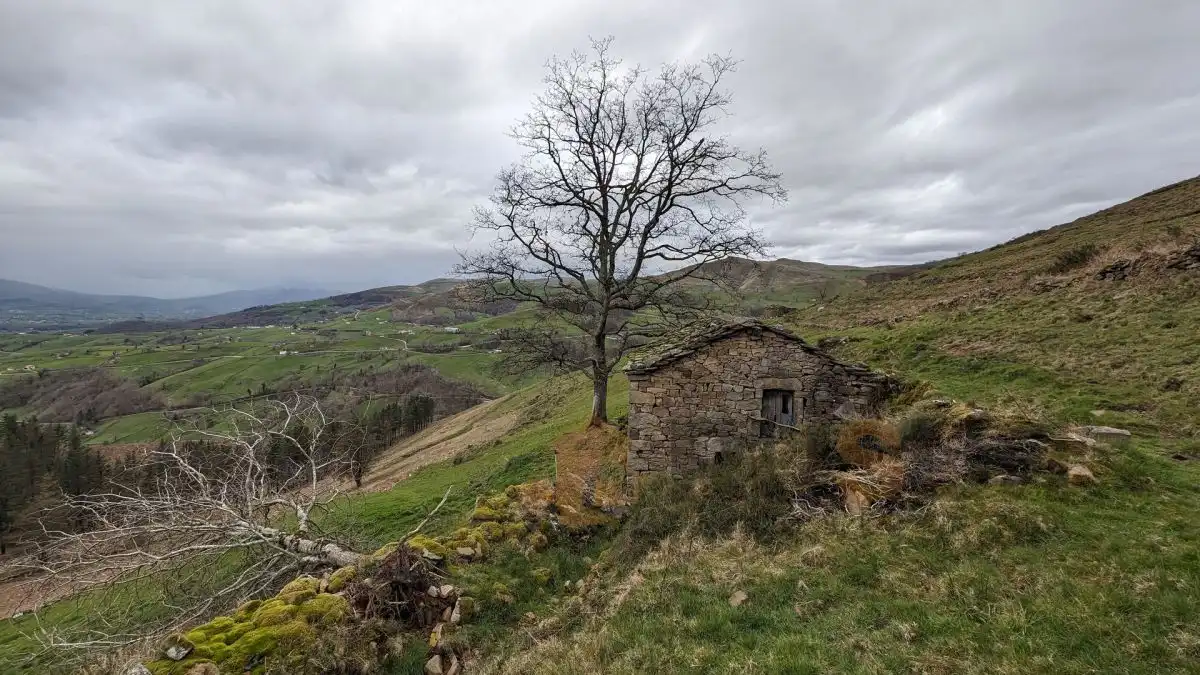 Vista exterior de Finca rústica en venta en Selaya