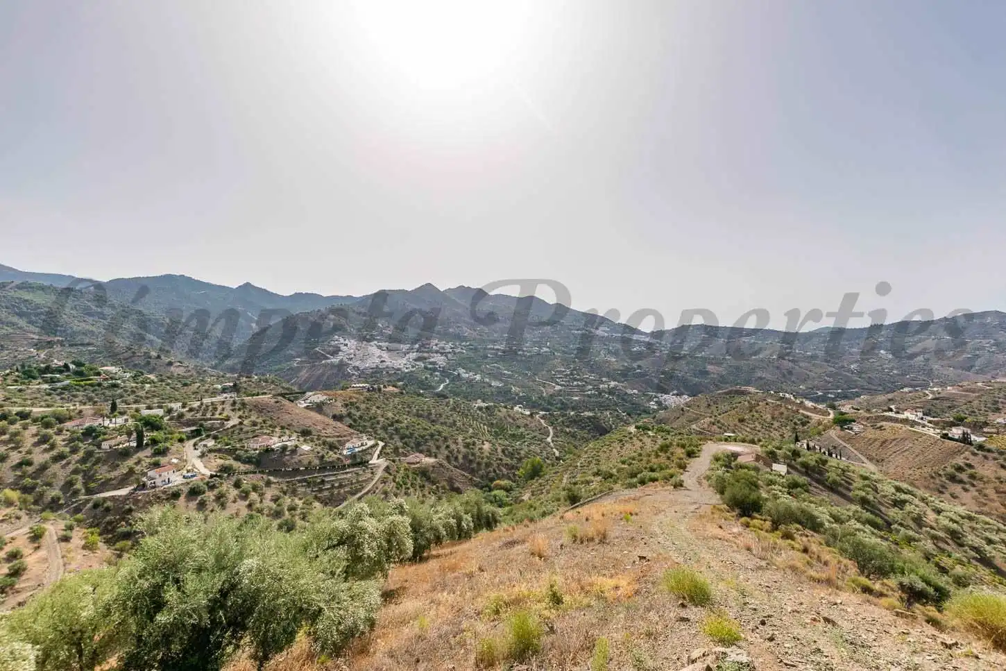 Terreny rústic en venda a Canillas de Albaida, imagen 7