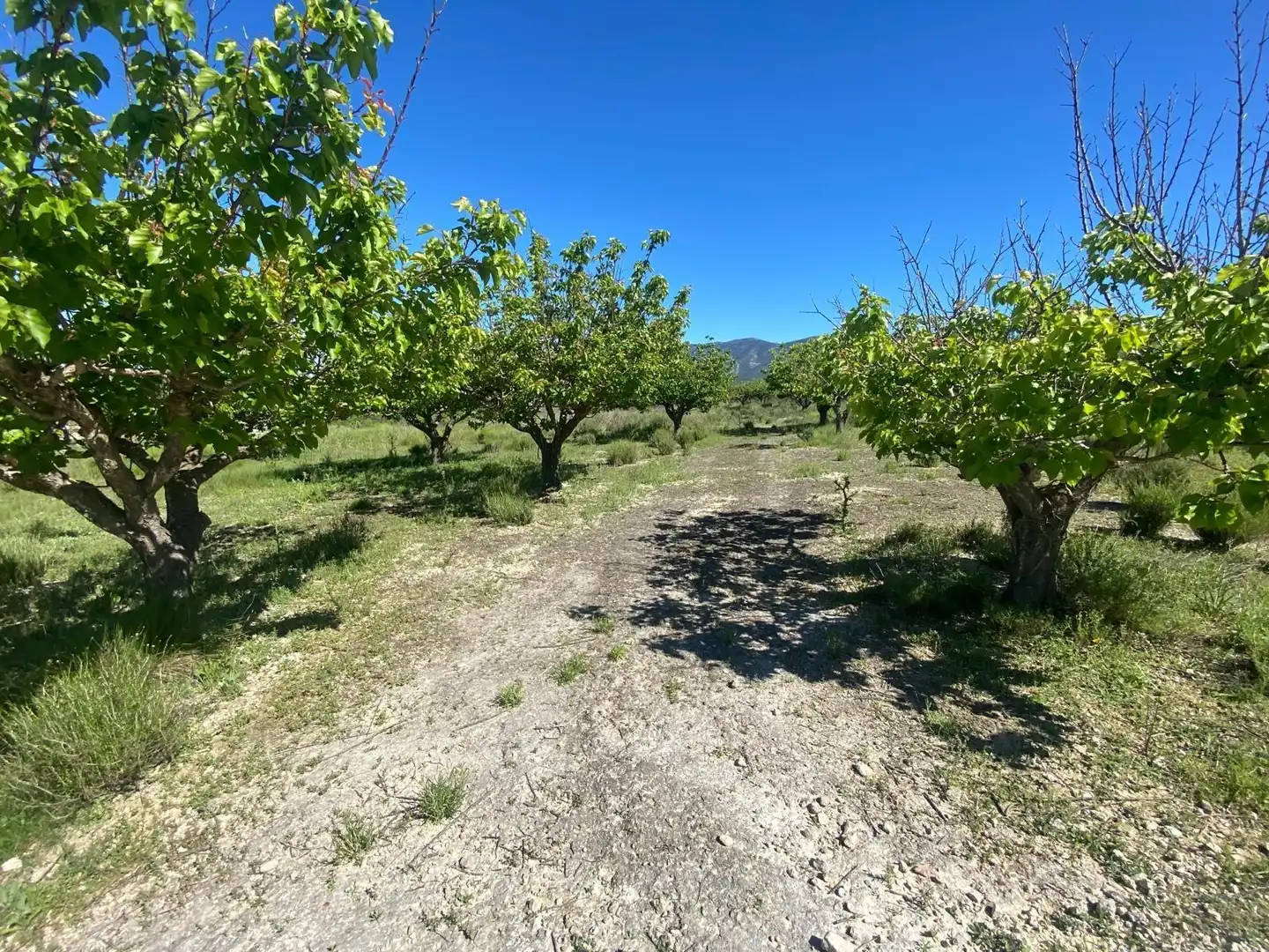 Wohnbaugrundstück zum Verkauf in El Palomar, imagen 2