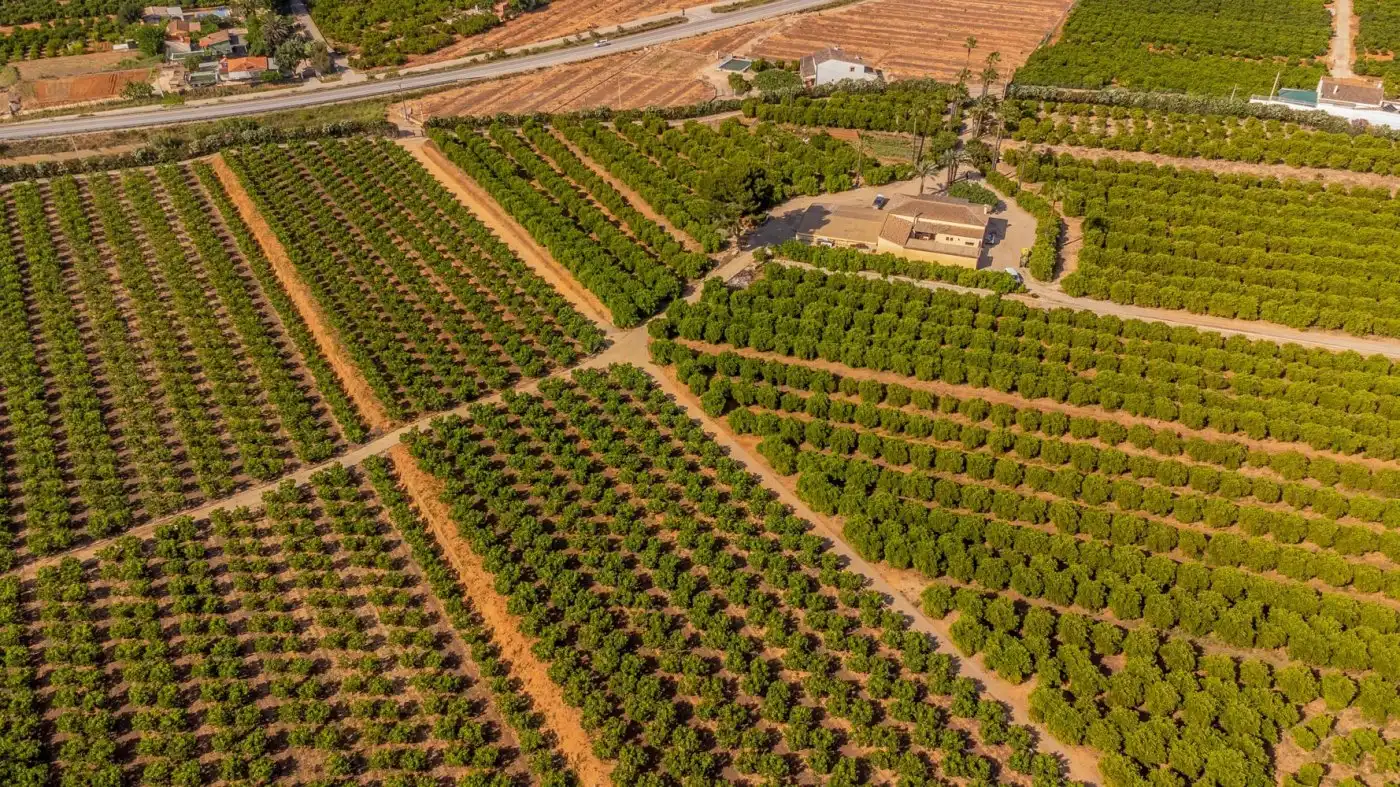 Vista exterior de Finca rústica en venda en L'Énova amb Terrassa, Traster i Alarma