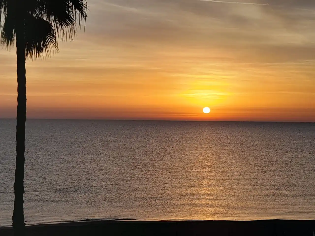 Apartment mit Terrasse zum Verkauf in La Mata, imagen 34