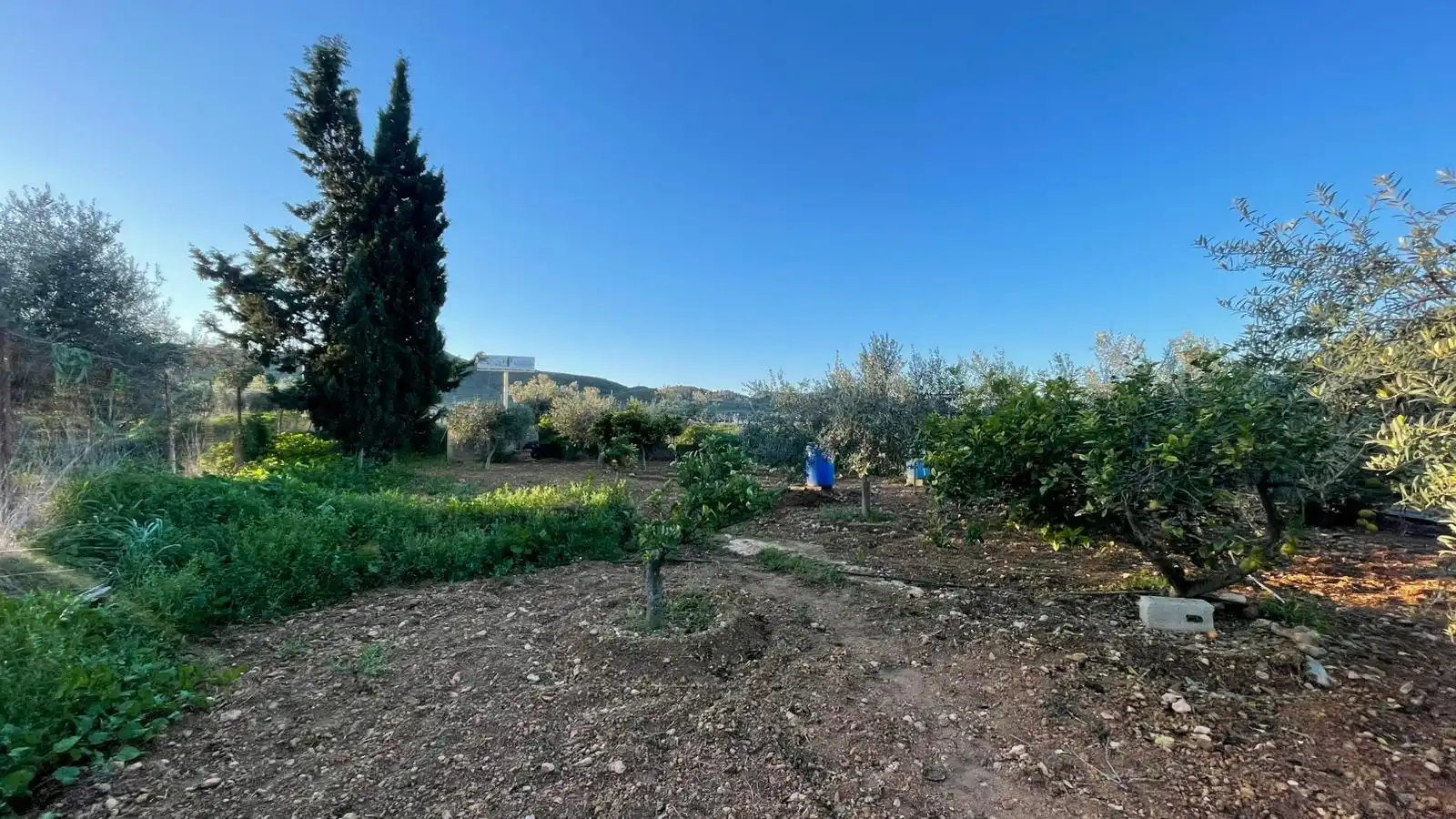 Casa rústica en venta en La Pinilla - Las Palas, imagen 28