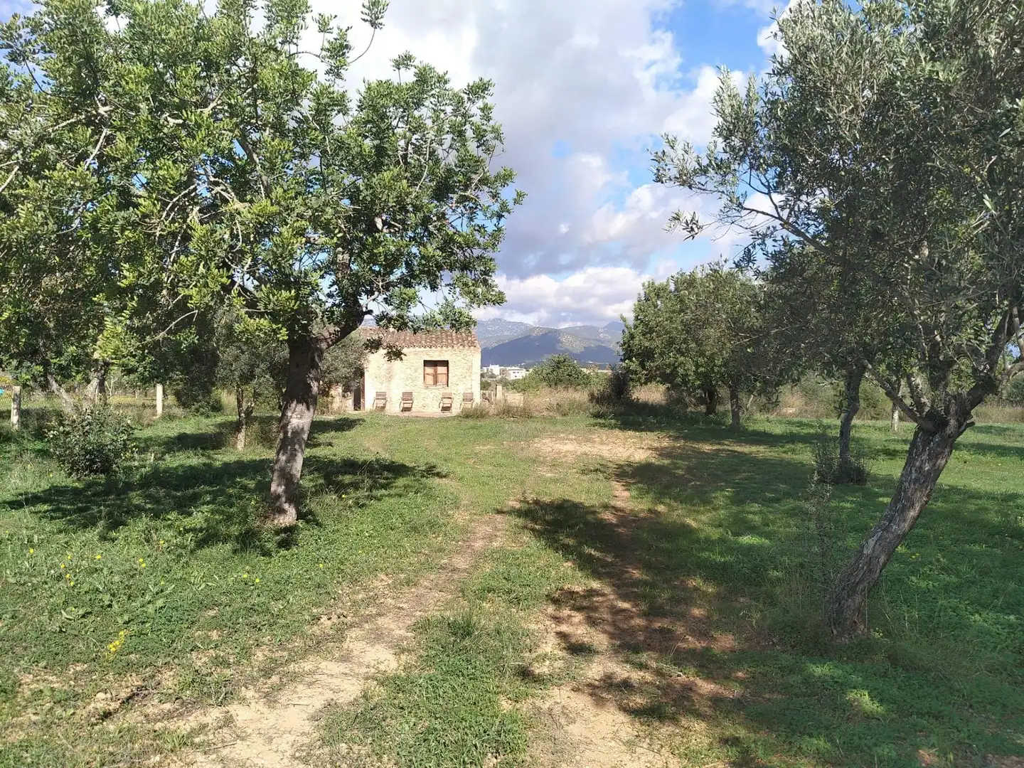 Terreny rústic en venda a Santa María del Camí, imagen 13