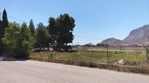 FINCA  RUSTICA CON UNA VIVIENDA, image 3