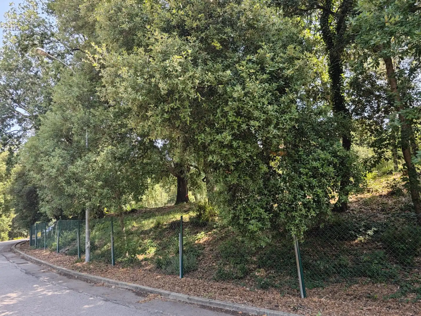 Terrenys i solars en venda a DE SALVADOR ESPRIU, imagen 16