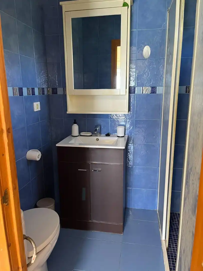 Bany de Apartament de lloguer en San Bartolomé de Tirajana