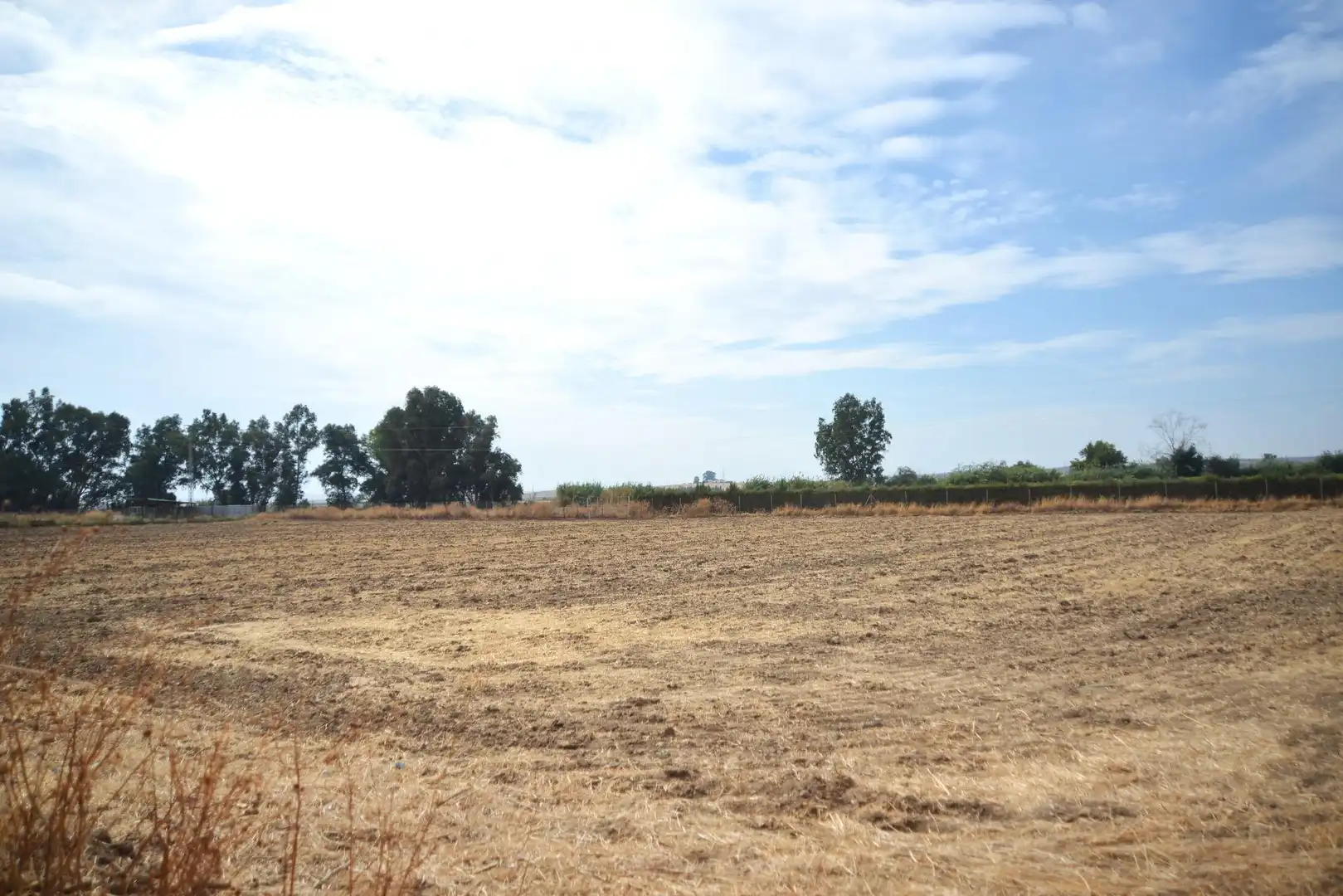 House with pool for sale in Guillena pueblo, imagen 18