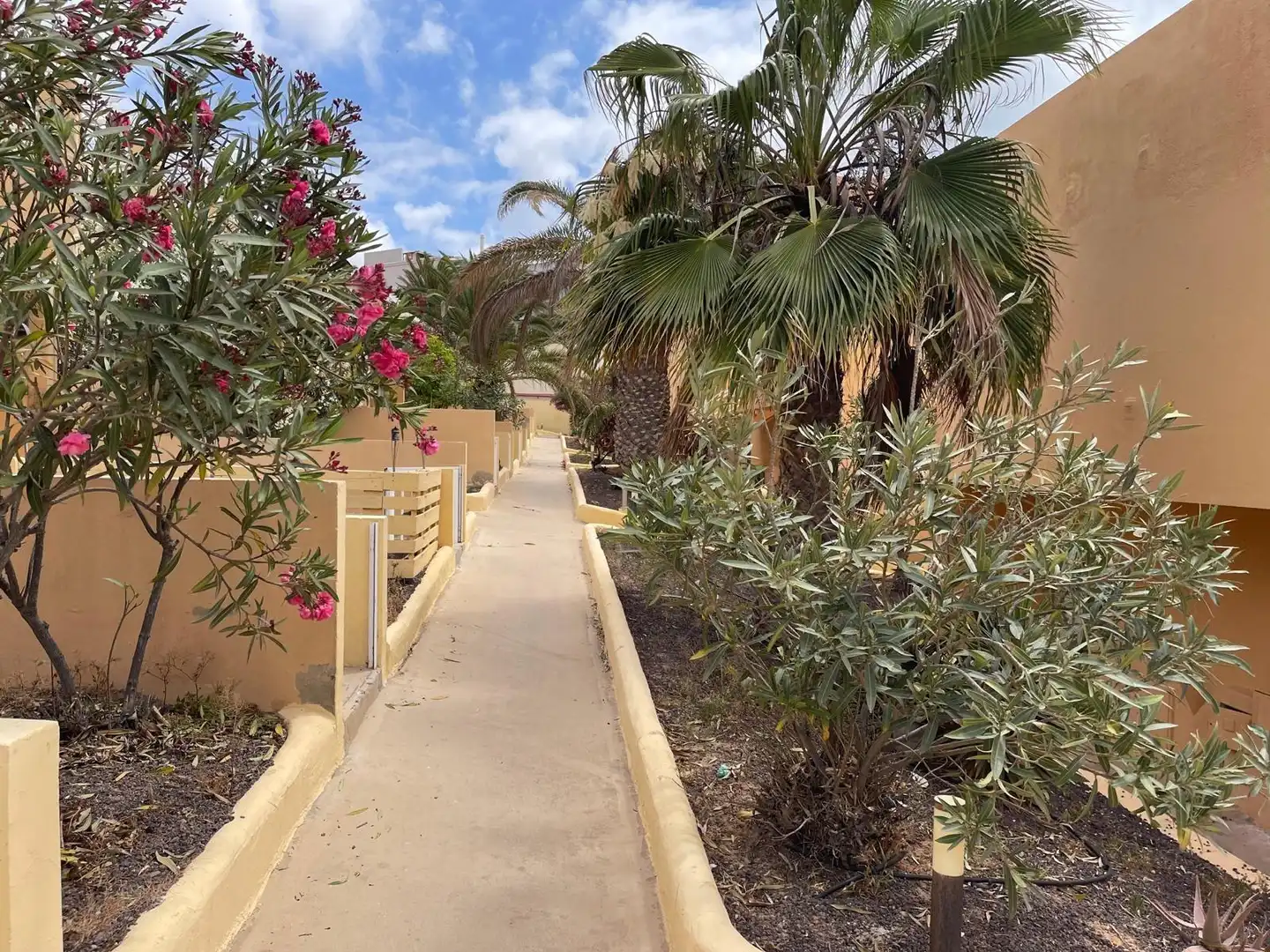 Exterior view of Apartments for sale in Pájara  with Private garden, Terrace and Community pool
