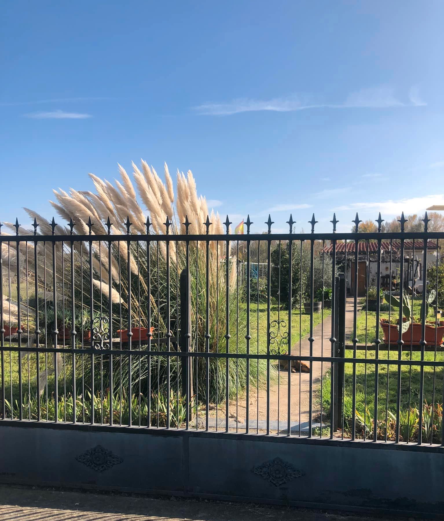 Garten von Grundstücke zum verkauf in Ribafrecha