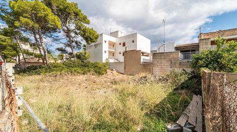 Photo 2 of Land for sale in S'Illot - Cala Morlanda, Manacor