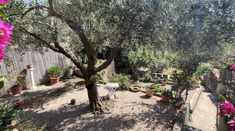 Photo 2 of Single-family semi-detached to rent in Campanet, Illes Balears