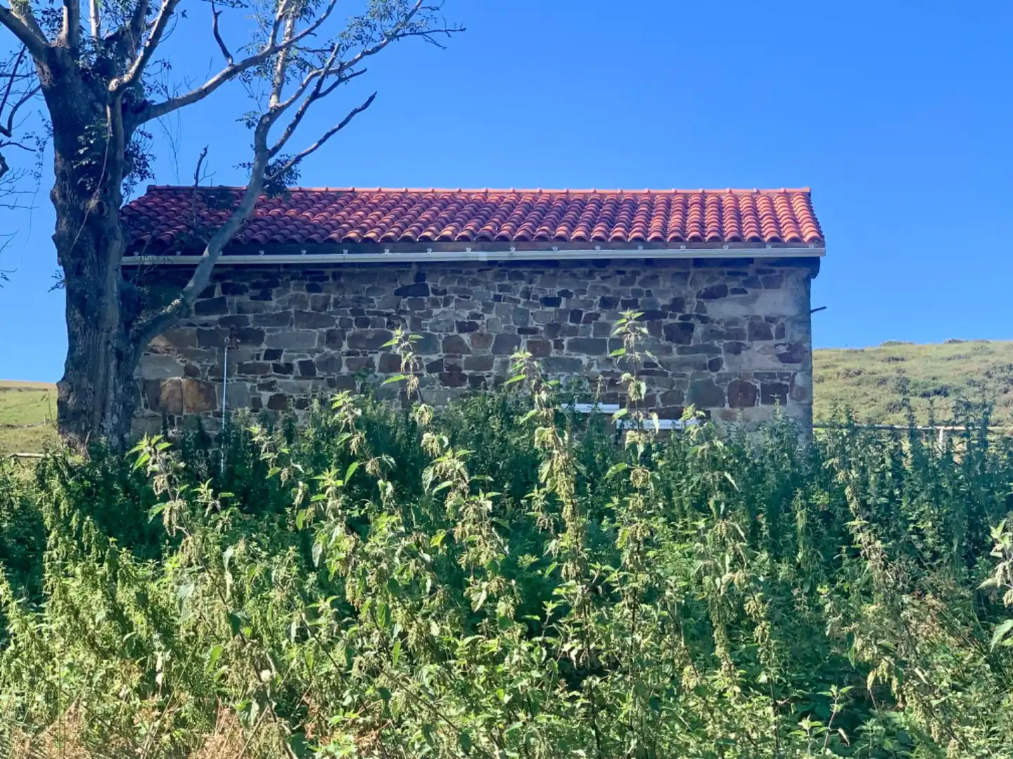 Vista exterior de Casa o chalet en venta en San Roque de Riomiera con Jardín privado