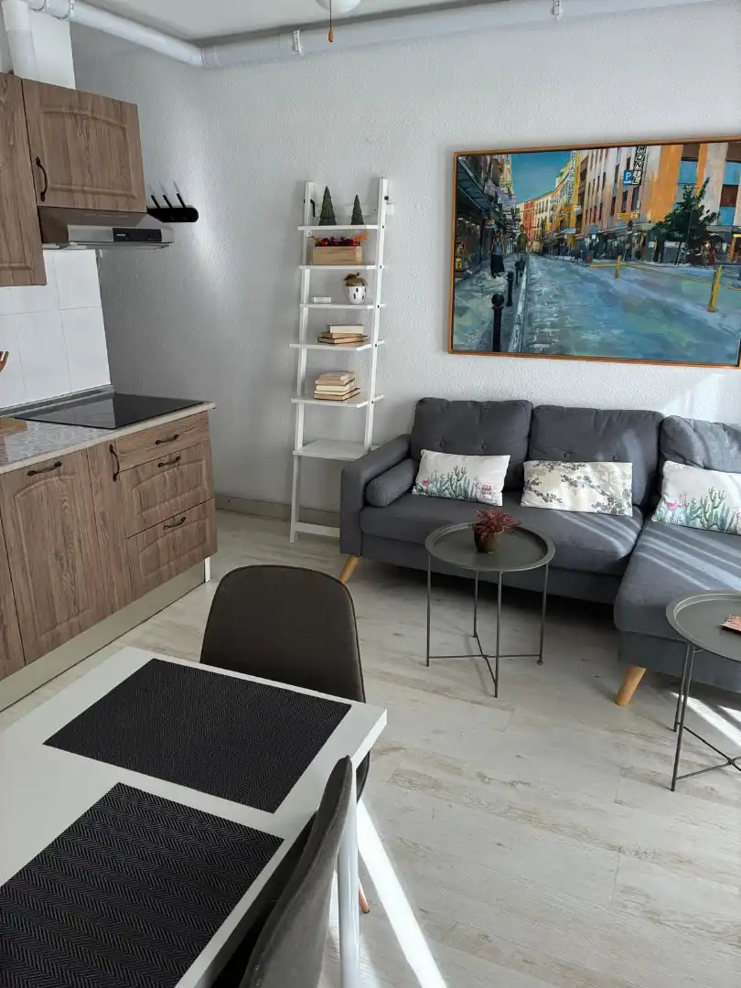 Sala d'estar de Estudi de lloguer en Granada amb Moblat