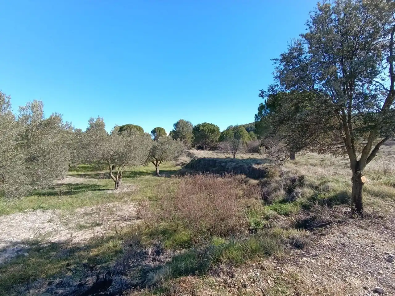 Country house for sale in Batoi, imagen 16
