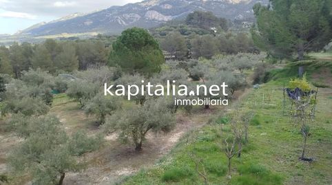 Terreno rústico en Sierra Mariola  Zona Els Alborets, imatge 3
