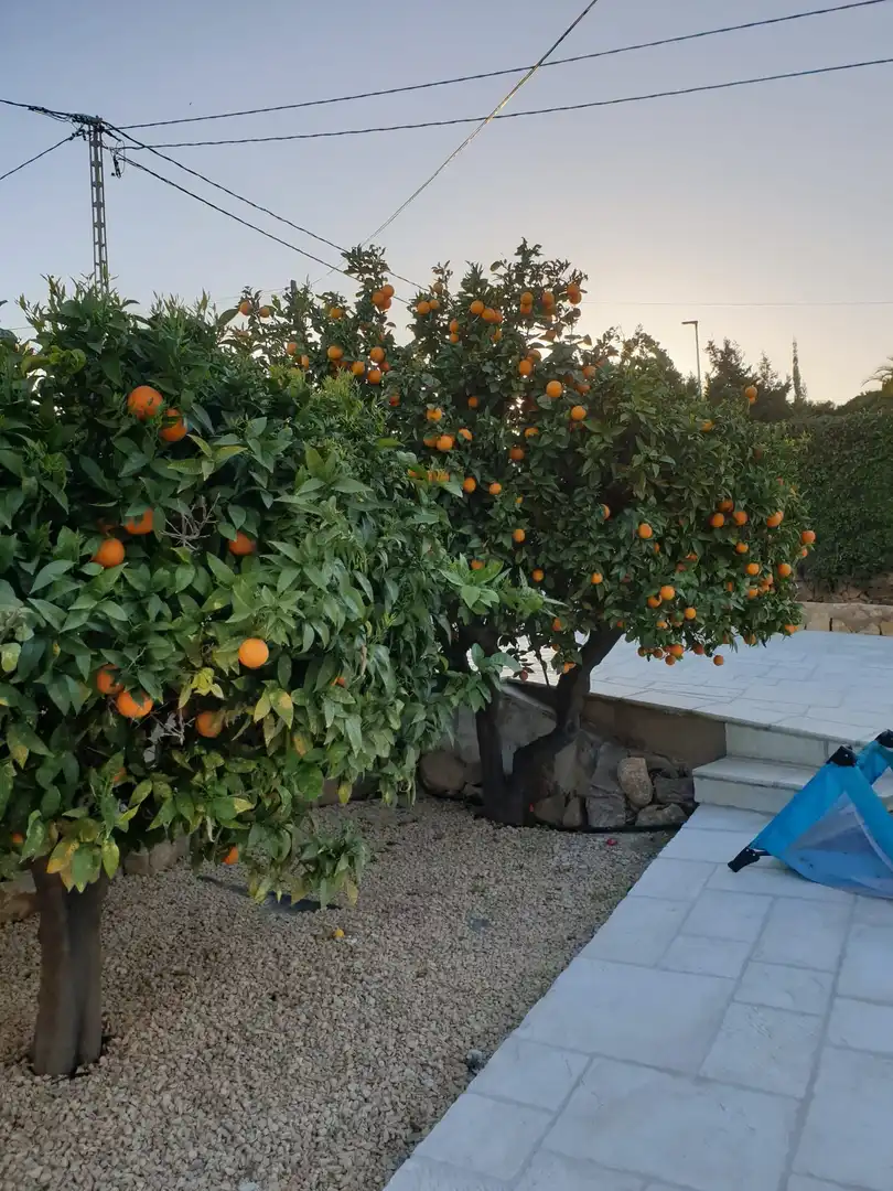 Garten von Haus oder Chalet zum Verkauf in L'Alfàs del Pi mit Klimaanlage, Privatgarten und Terrasse