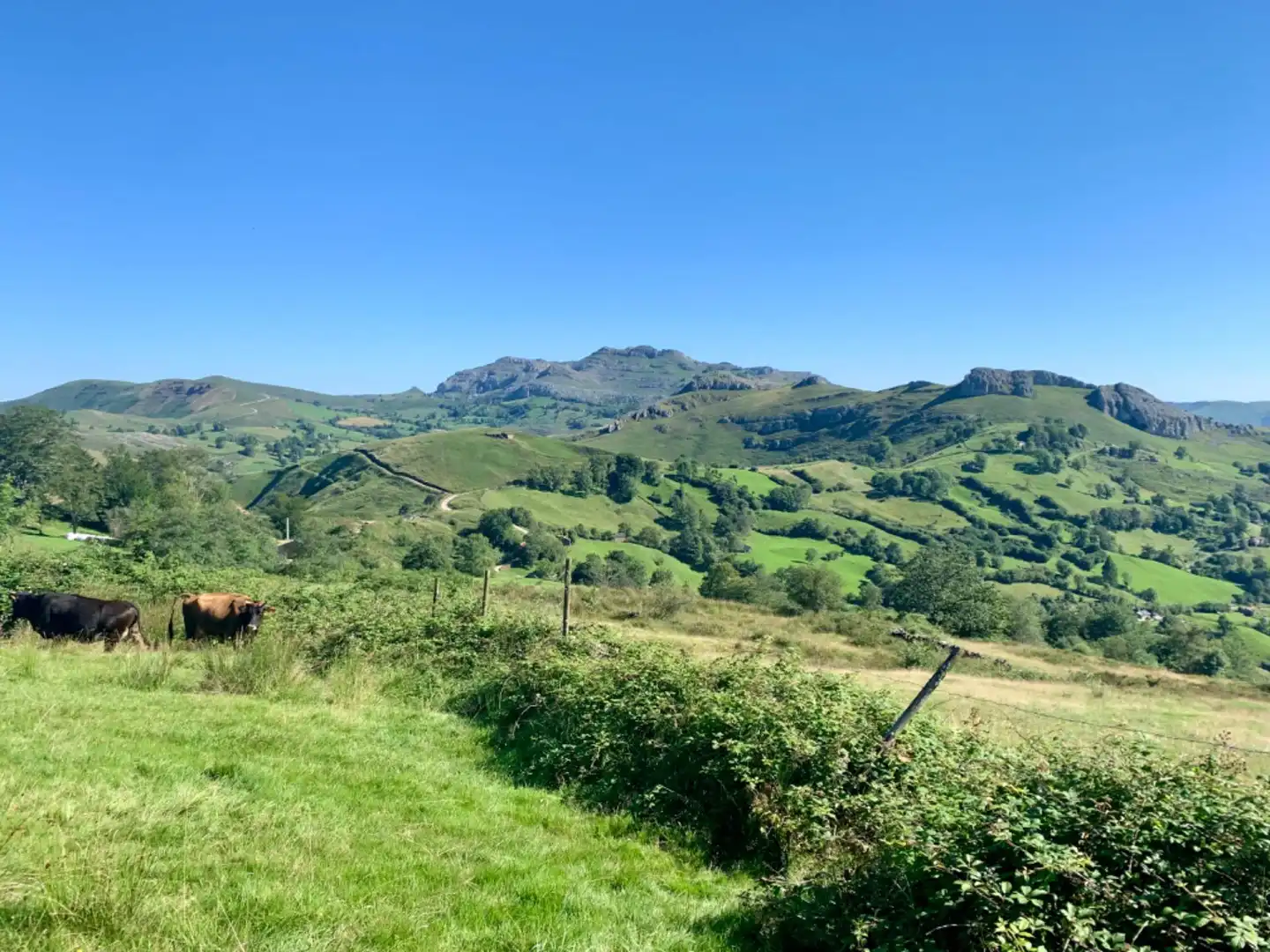 Vista exterior de Casa o chalet en venta en San Roque de Riomiera con Jardín privado