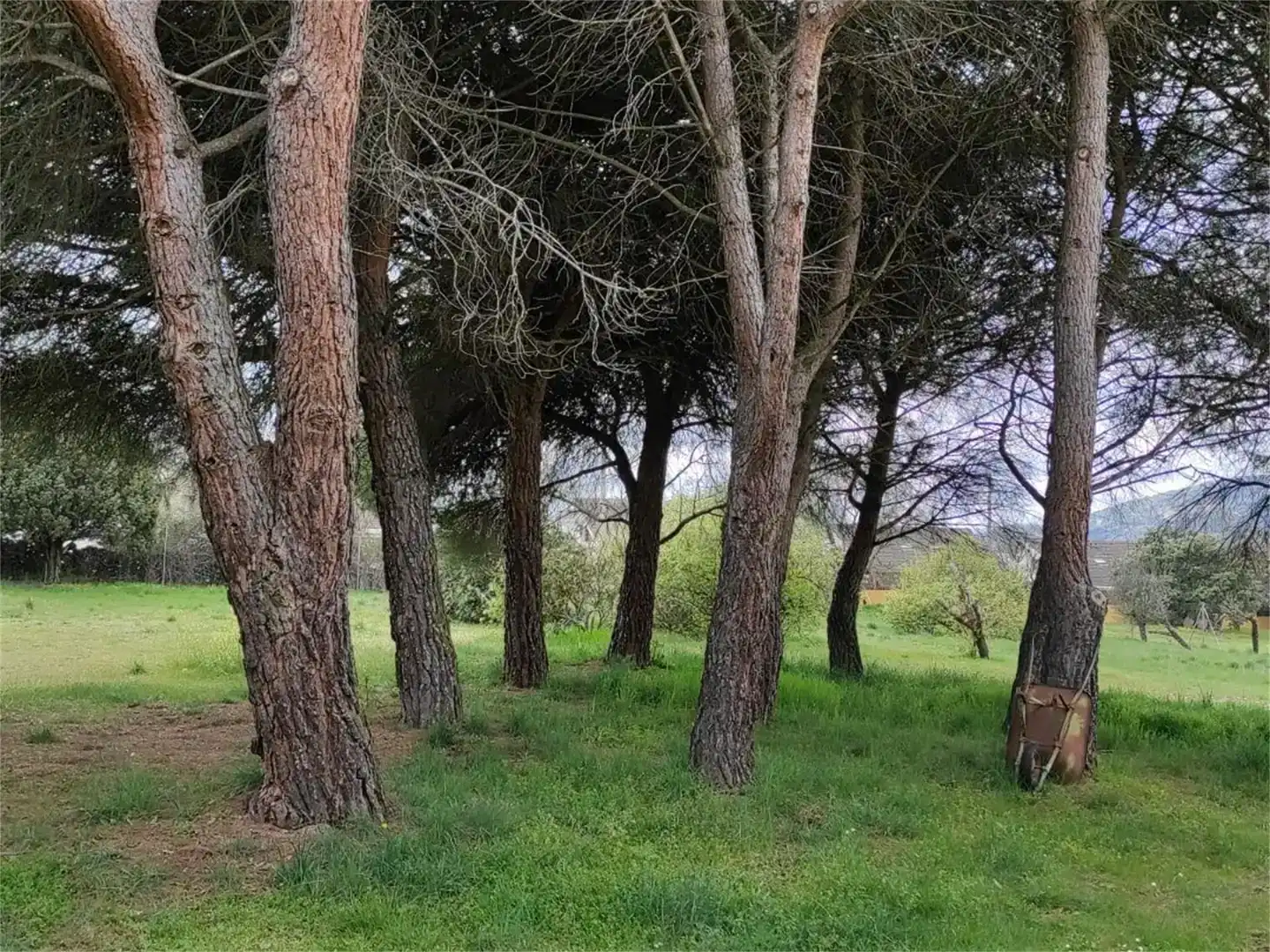 Vista exterior de Terreno en venta en Moralzarzal