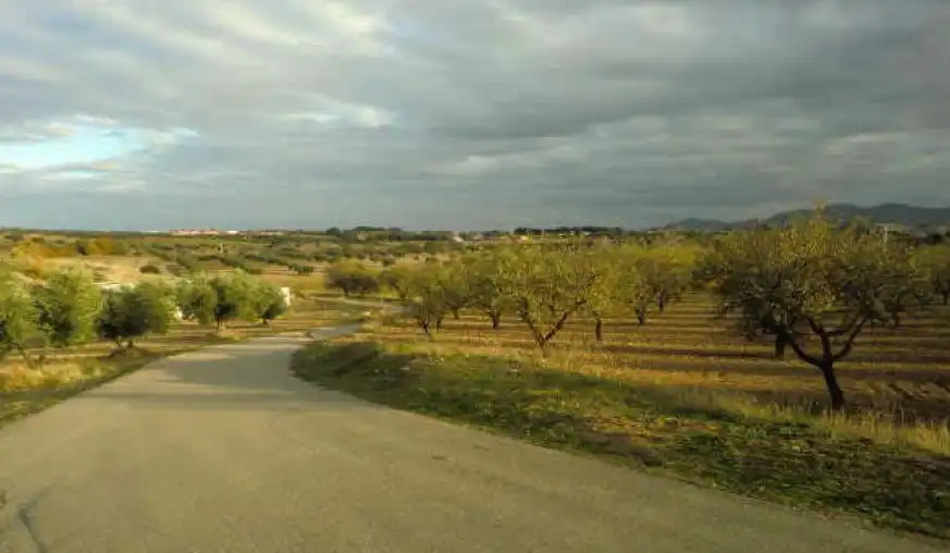Terreny rústic en venda a Burguillos de Toledo, imagen 6