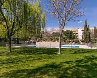 Swimming pool of Flat to rent in Pozuelo de Alarcón  with Terrace and Balcony