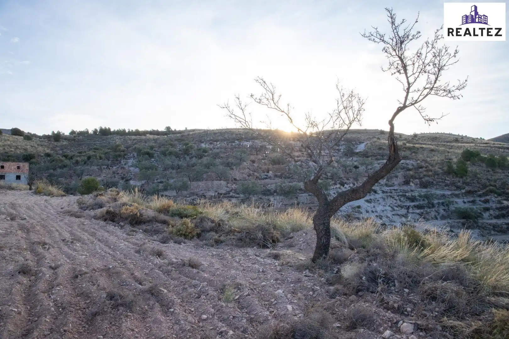 Terrain rustique à vendre à Alcolea, imagen 10