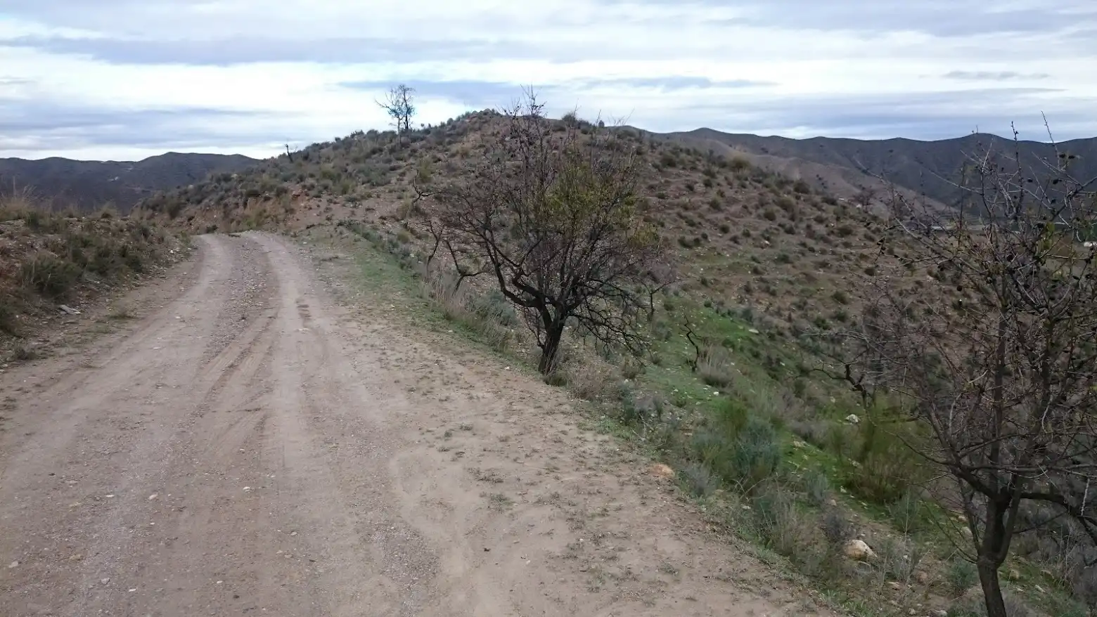 Terreny residencial en venda a Paraje Arroyo Del Aceituno, imagen 16