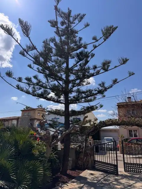 Villa mit Garten zum Verkauf in Carrer d'Alaró 4, imagen 10