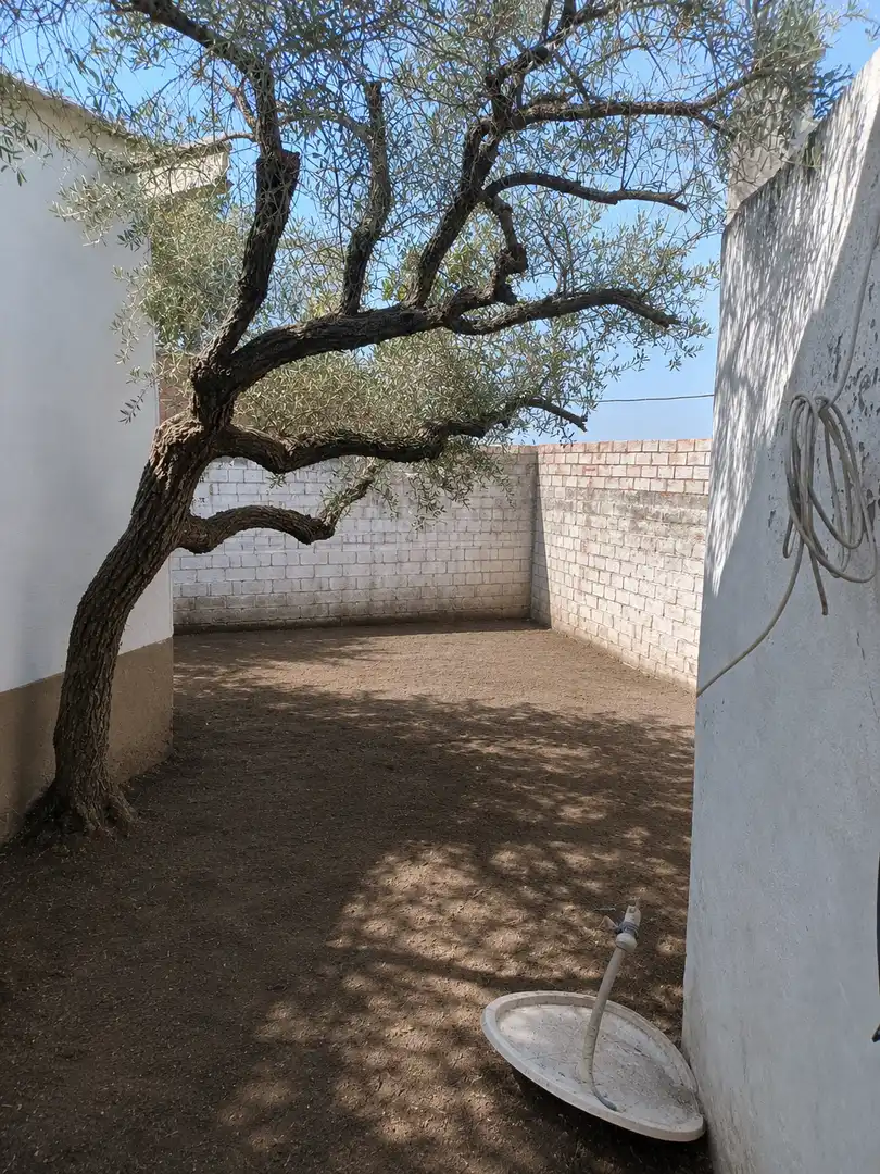 Houses for sale in Fuente Palmera