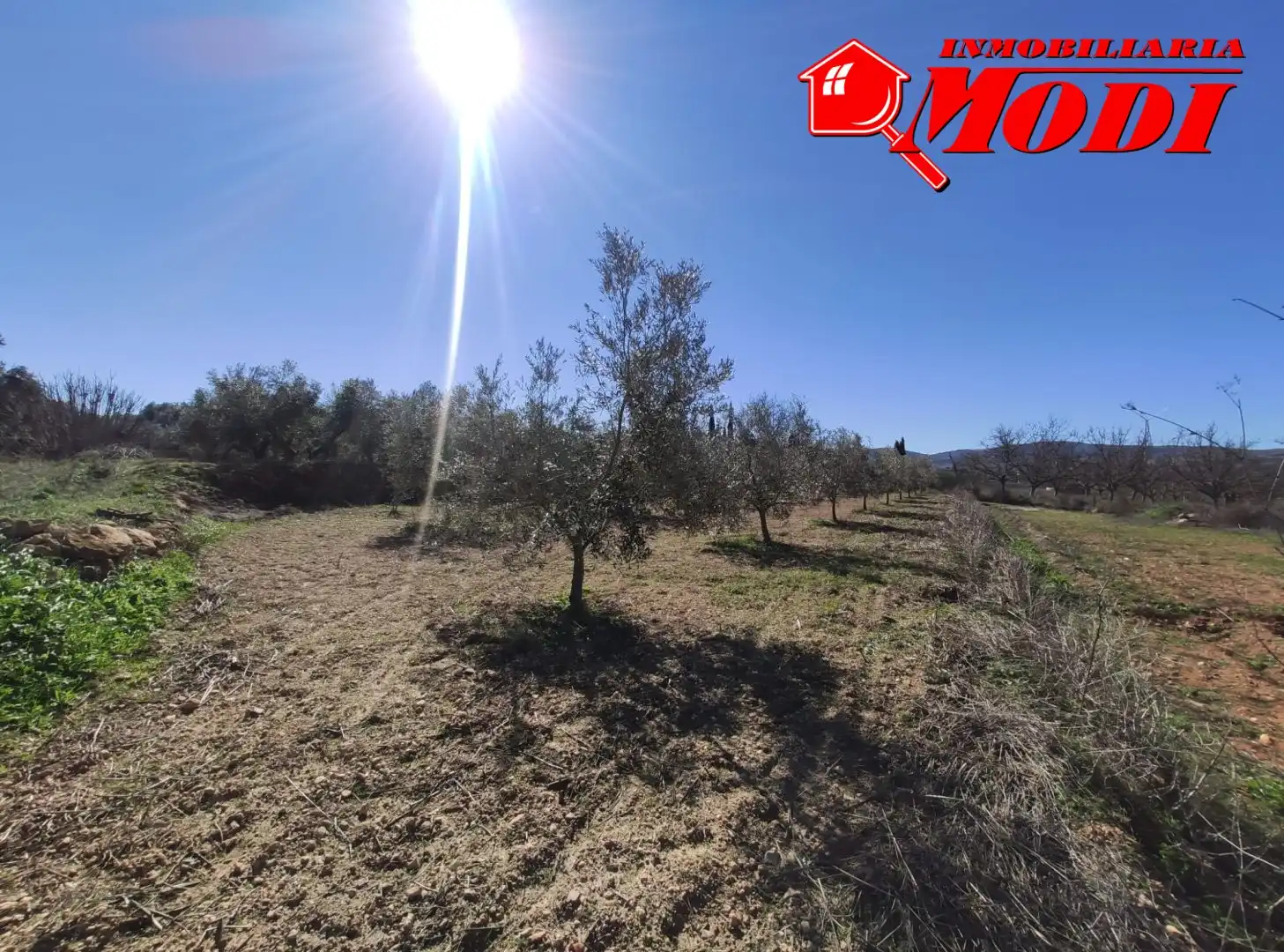 Terrenys i solars en venda a Villamena, imagen 18