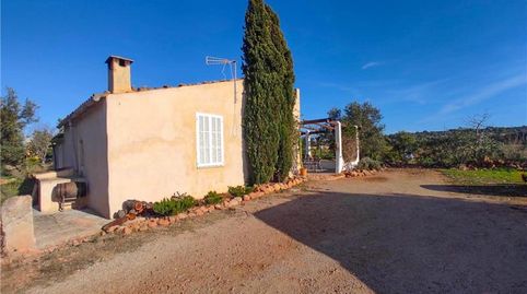 Foto 2 de Finca rústica en venta en Sant Jordi, Palma de Mallorca