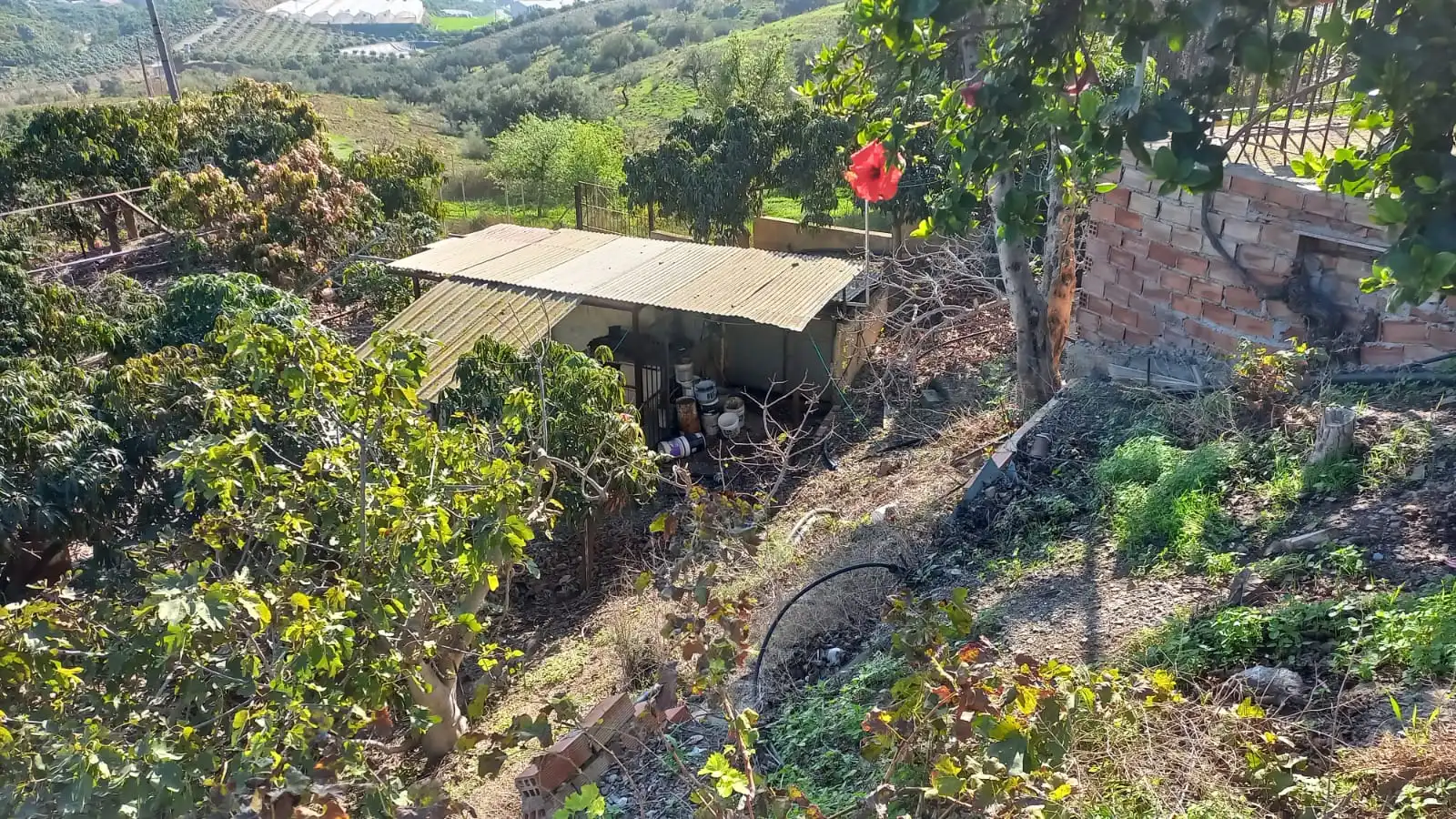Terreni e lotti in vendita a Almayate, imagen 7