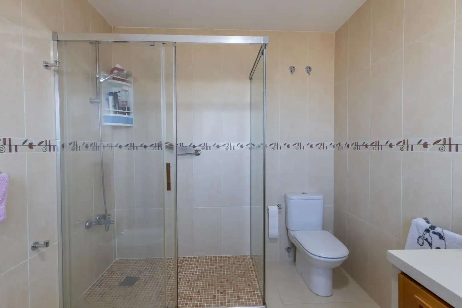 Chalet con terraza en venta en UNIS, imagen 21