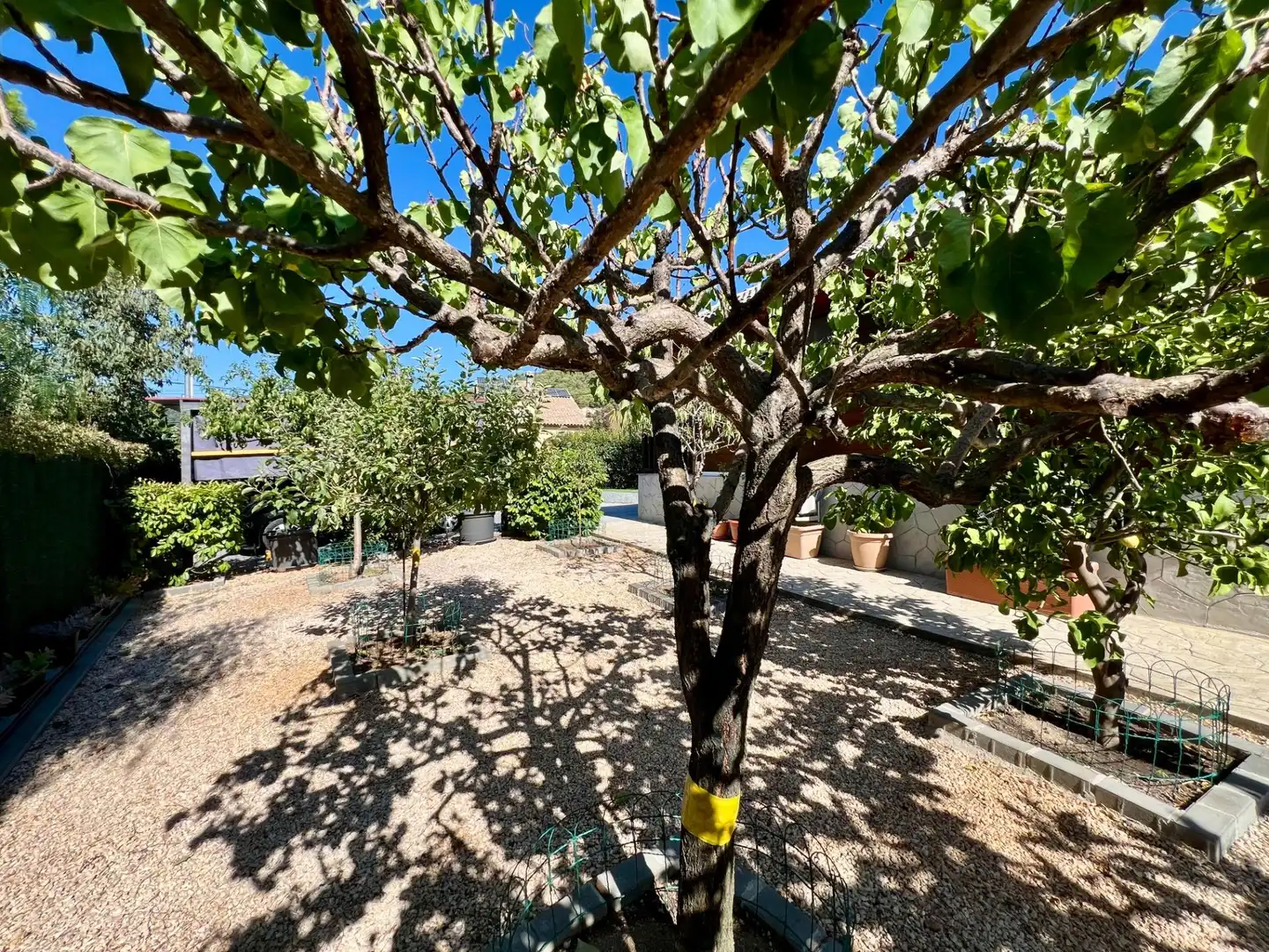 Jardín de Casa o chalet en venta en Cànoves I Samalús con Aire acondicionado, Calefacción y Jardín privado