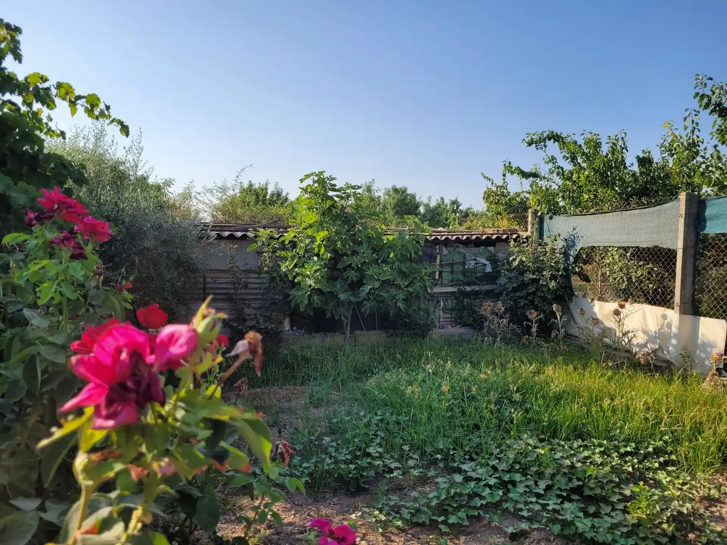 Terrenos y solares en venta en de Codis, imagen 16