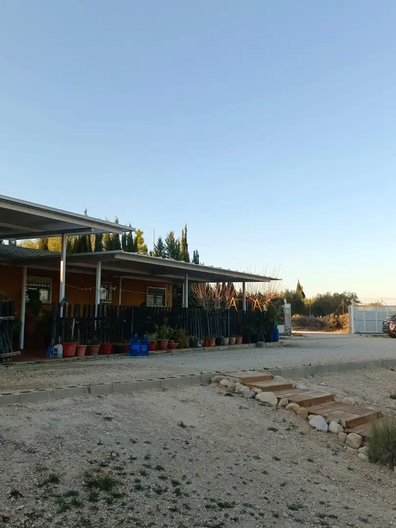 Vista exterior de Casa o chalet en venta en Molina de Segura con Aire acondicionado, Calefacción y Jardín privado