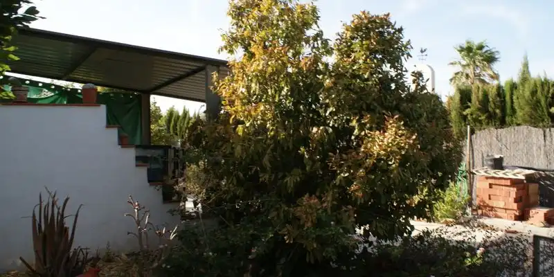 Jardín de Casa o chalet en venta en La Carlota con Jardín privado, Terraza y Trastero