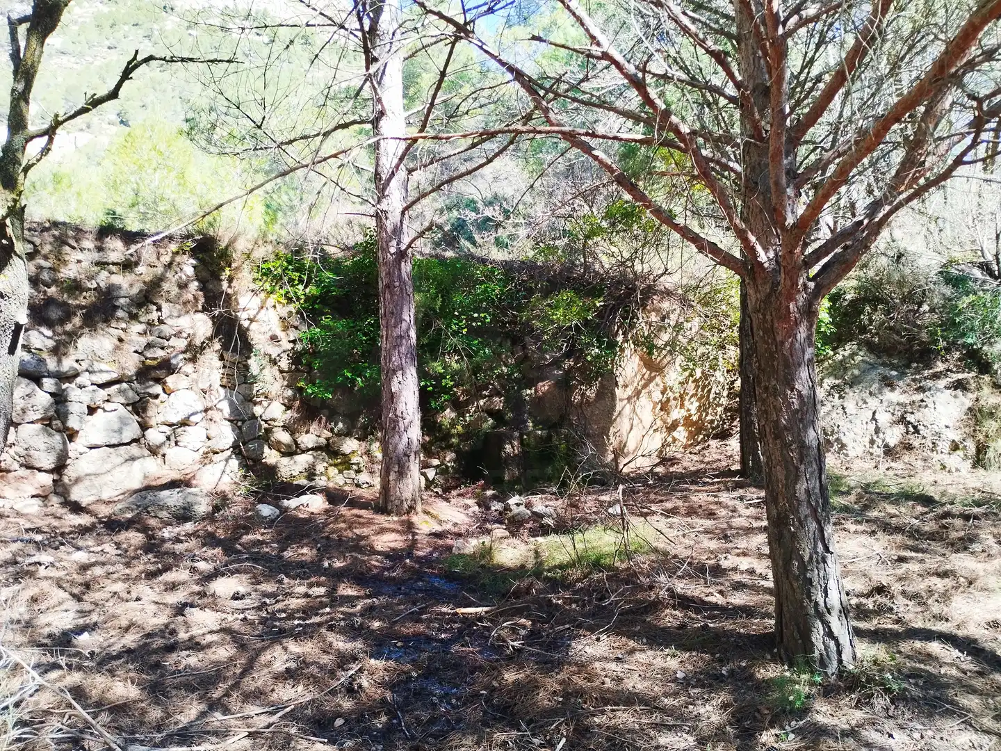 Terreno en venta en La Morera de Montsant