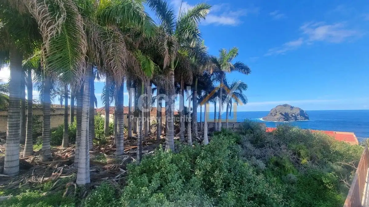 Vista exterior de Casa o chalet en venta en Garachico con Jardín privado