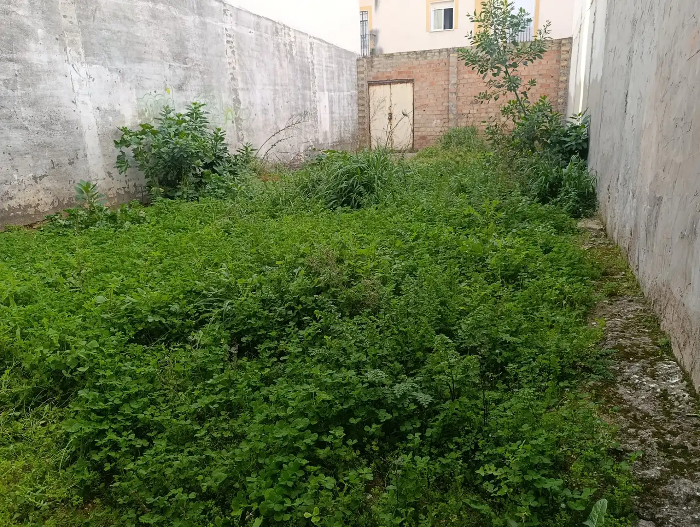 Residential land for sale in Centro - Doña Mercedes, imagen 8