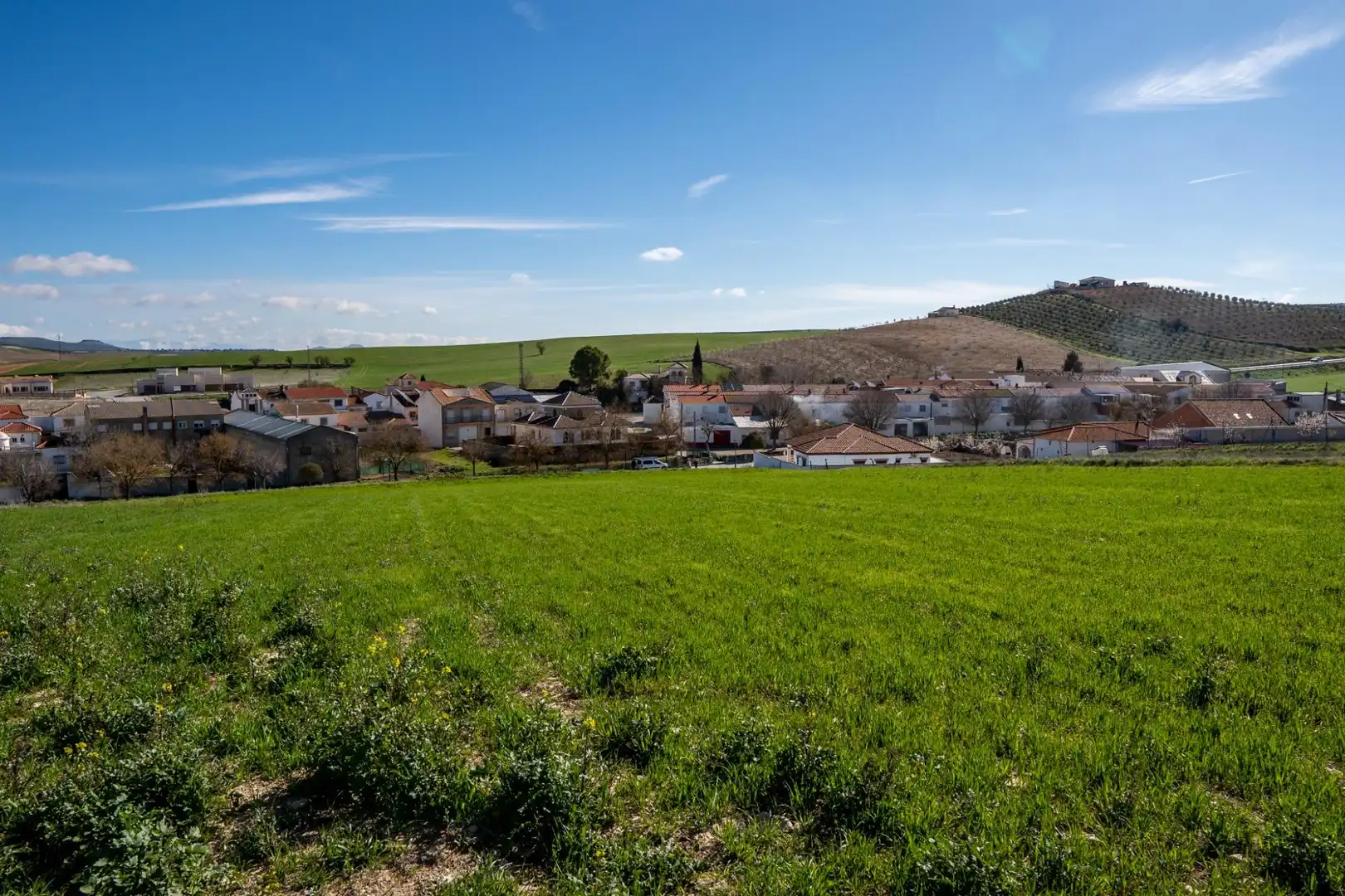 Residential zum Verkauf in Guadahortuna