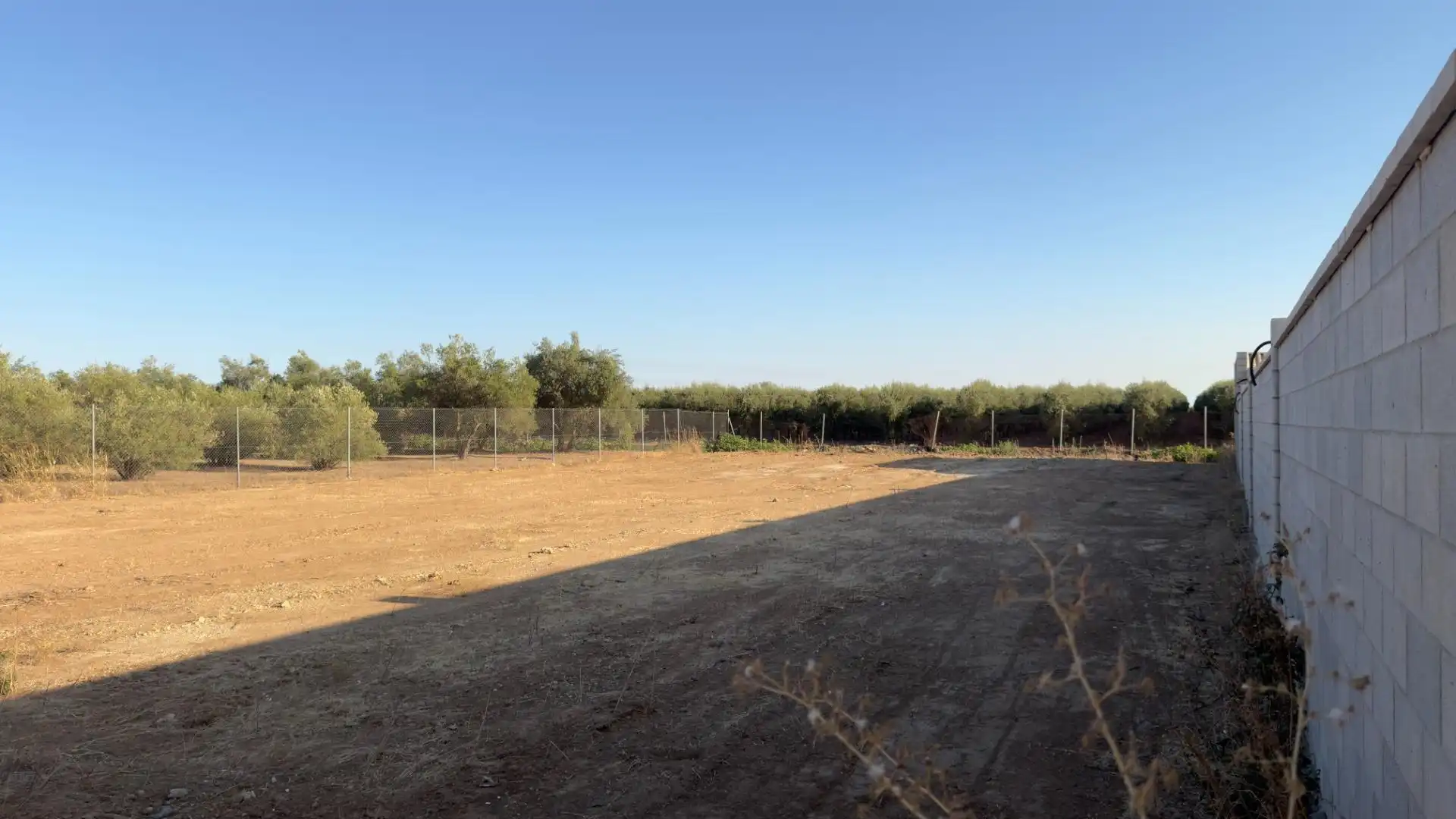 Terreno rústico en venta en Los Palacios y Villafranca, imagen 5