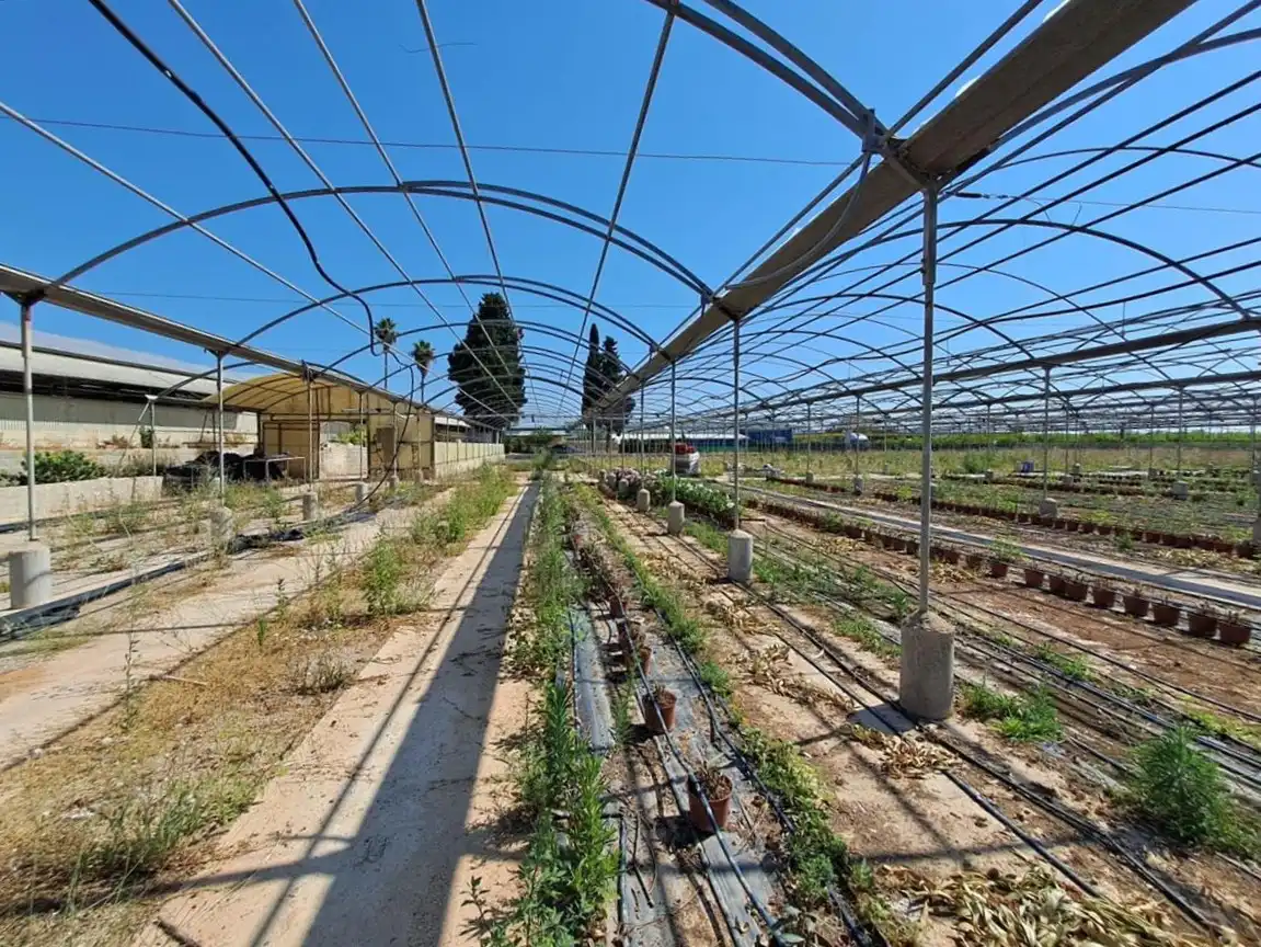 Garten von Grundstücke zum Verkauf in Catadau