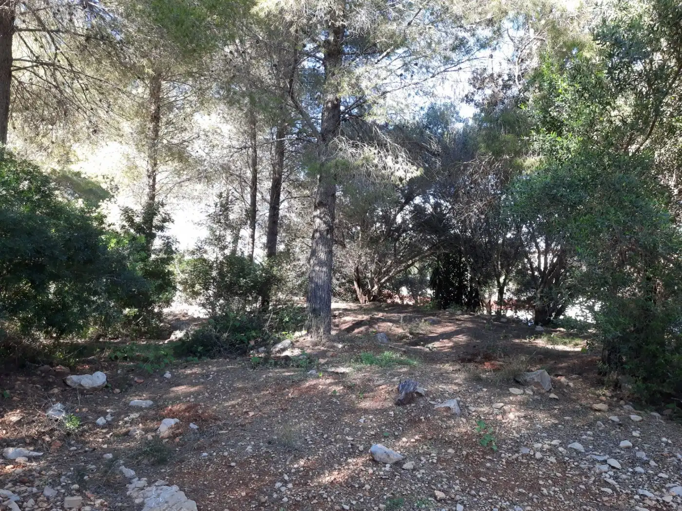 Grundstücke und Bauplätze zum Verkauf in El Montgó, imagen 11