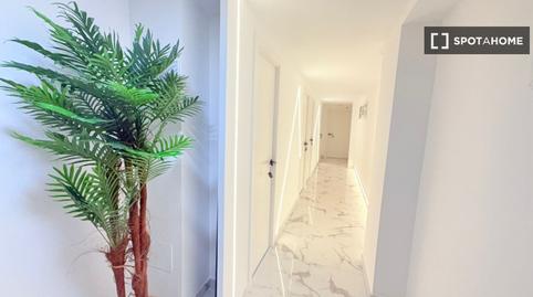 Photo 2 of Study for share in Raval Roig - Virgen del Socorro, Alicante / Alacant